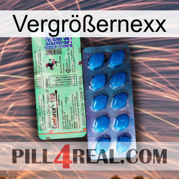 Vergrößernexx new02.jpg